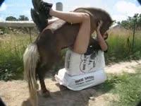 Gay beastiality videos with a giant horse cock